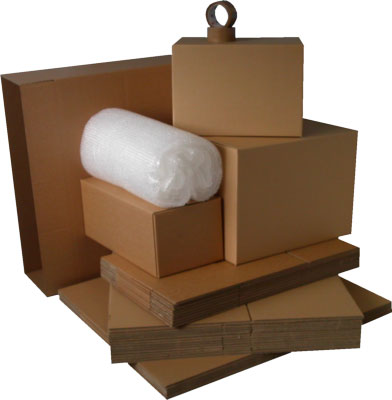 Packing and Moving service Lucknow household goods Shifting Lucknow